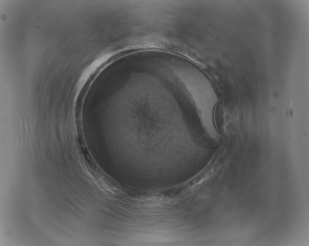 X0000074340200200609152130