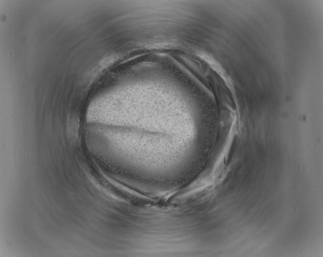 X0000074340201200609152130