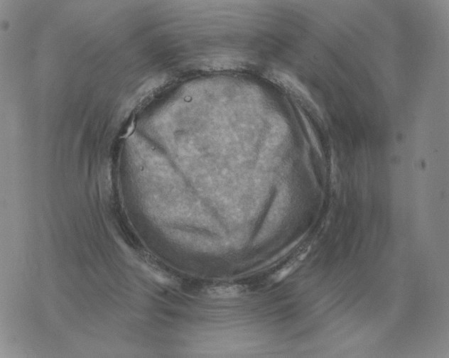 X0000074340202200609152130