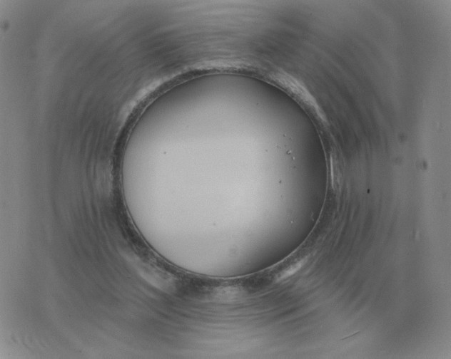 X0000074340204200609152130