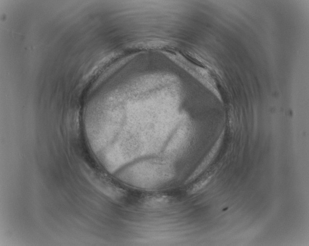 X0000074340206200609152130