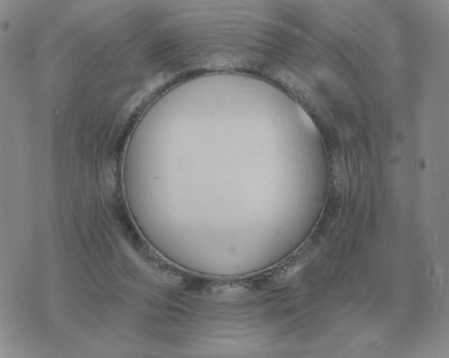 X0000074340208200609152130