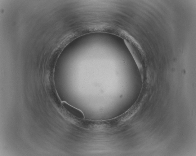 X0000074340209200609152130