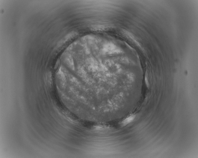 X0000074340211200609152130