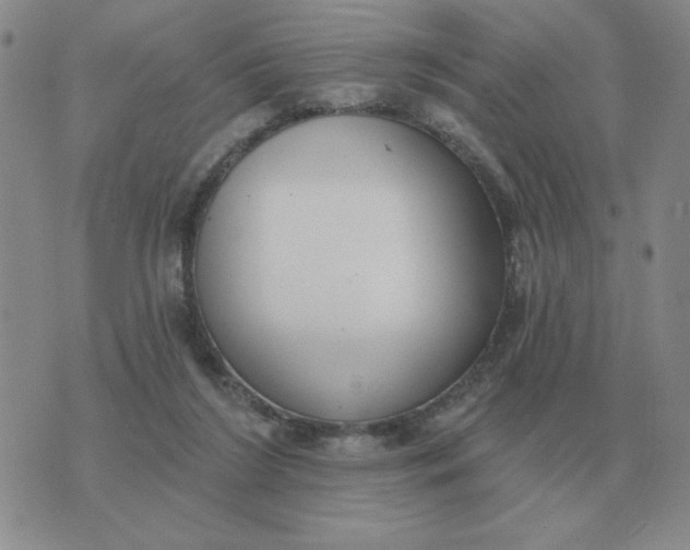 X0000074340212200609152130