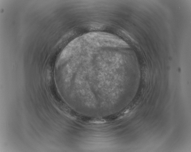 X0000074340215200609152130