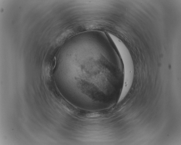 X0000074340219200609152130