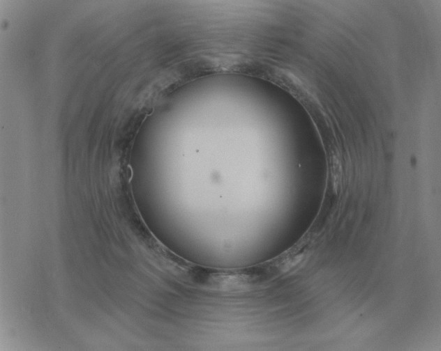 X0000074340221200609152130