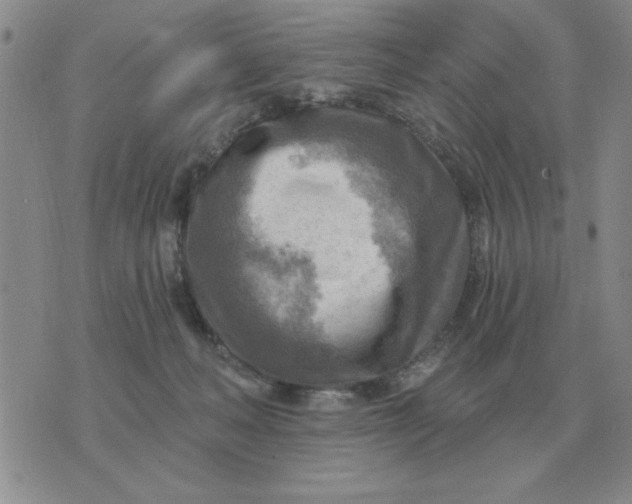 X0000074340222200609152130