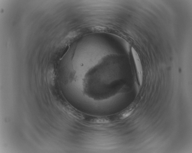 X0000074340223200609152130