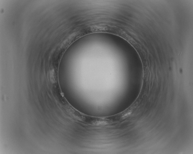 X0000074340224200609152130