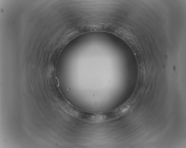 X0000074340225200609152130