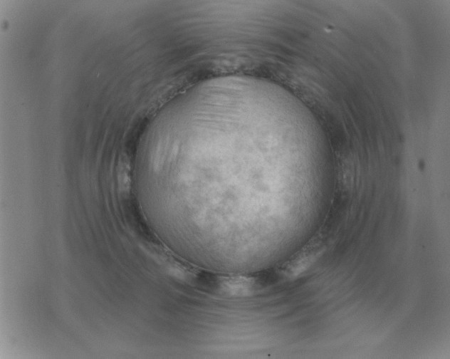 X0000074340226200609152130