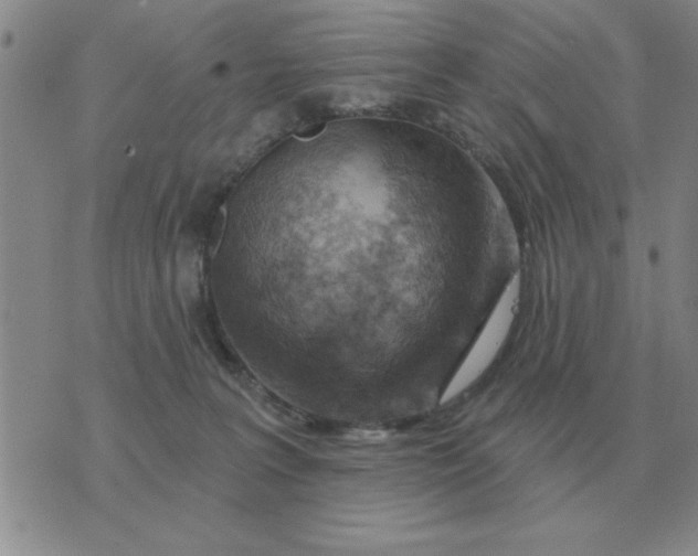 X0000074340227200609152130