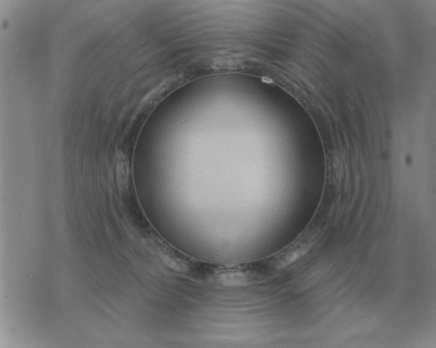 X0000074340228200609152130