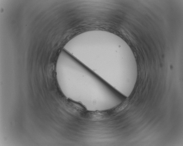 X0000074340229200609152130