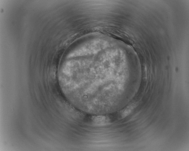 X0000074340230200609152130