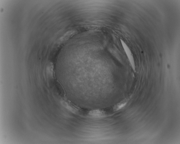 X0000074340231200609152130