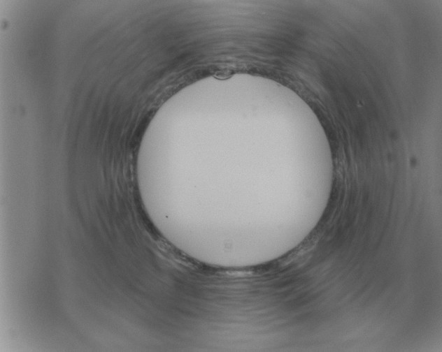 X0000074340233200609152130