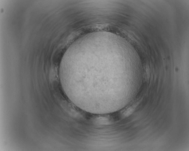 X0000074340236200609152130