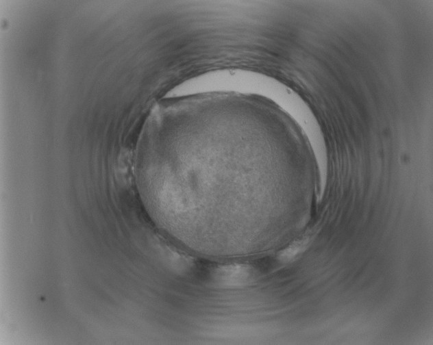 X0000074340237200609152130