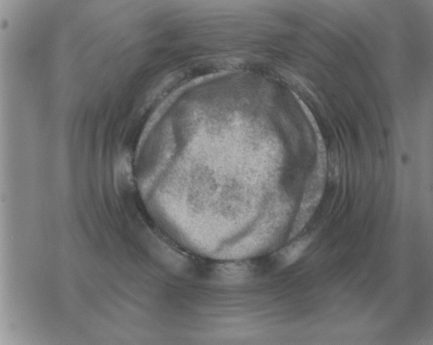 X0000074340238200609152130