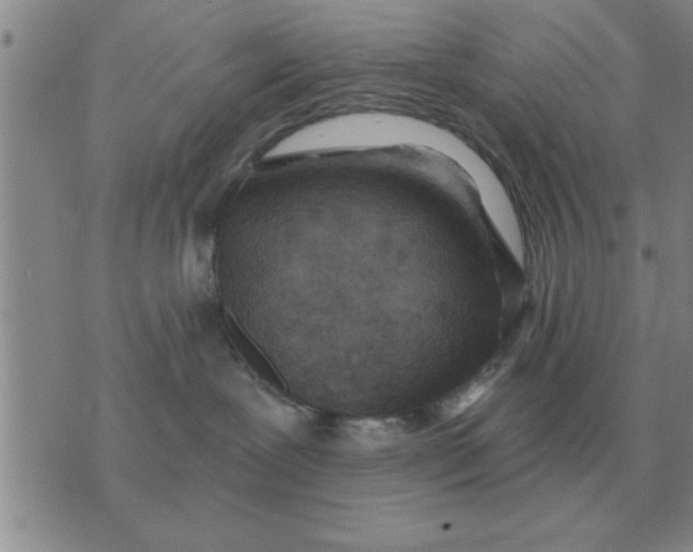 X0000074340239200609152130