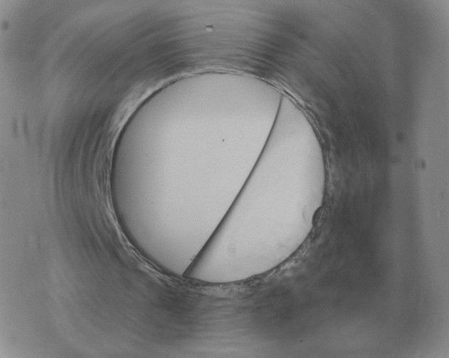 X0000074340241200609152129