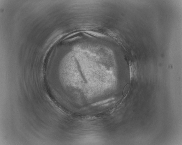 X0000074340243200609152129