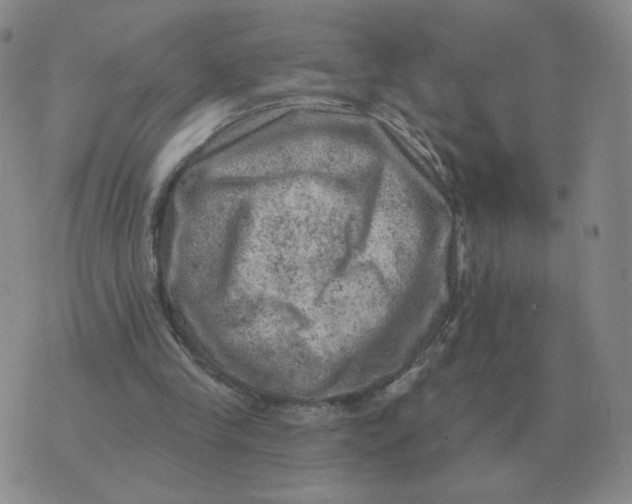 X0000074340245200609152129