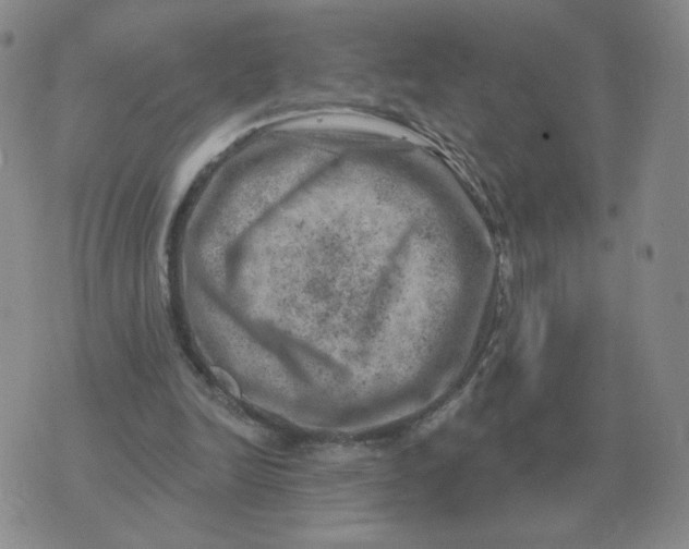 X0000074340246200609152129