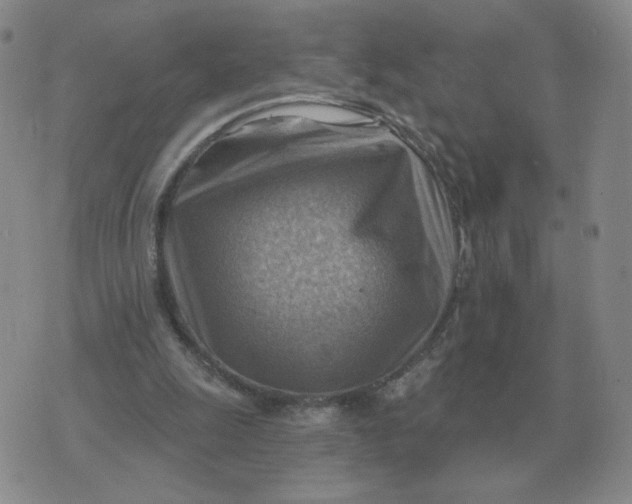 X0000074340247200609152129