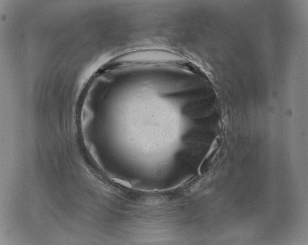 X0000074340248200609152129