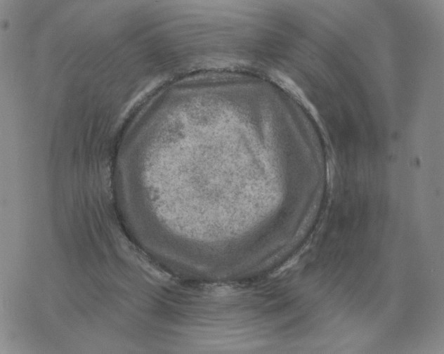 X0000074340249200609152129