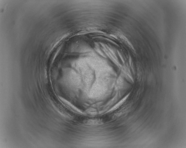 X0000074340251200609152129