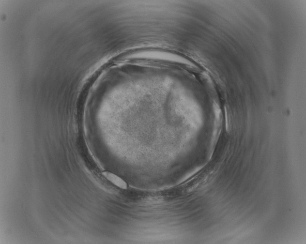 X0000074340252200609152129