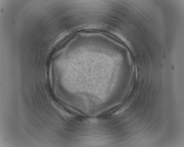 X0000074340253200609152129