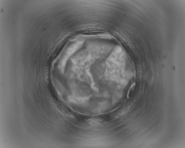 X0000074340255200609152129