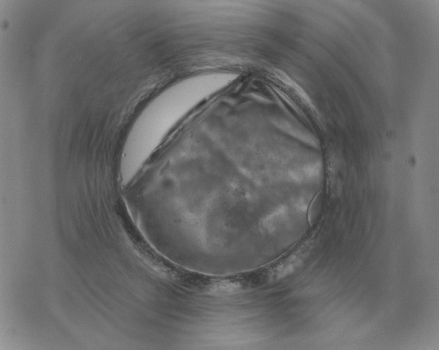 X0000074340257200609152129