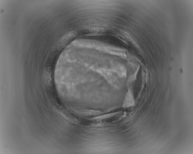 X0000074340259200609152129