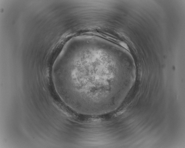 X0000074340260200609152129