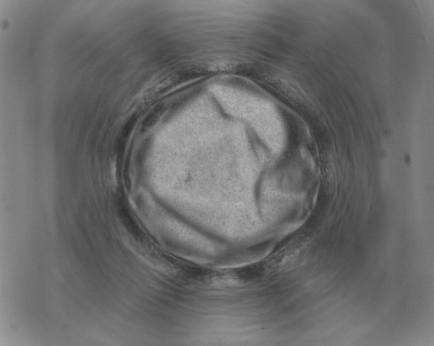 X0000074340262200609152129