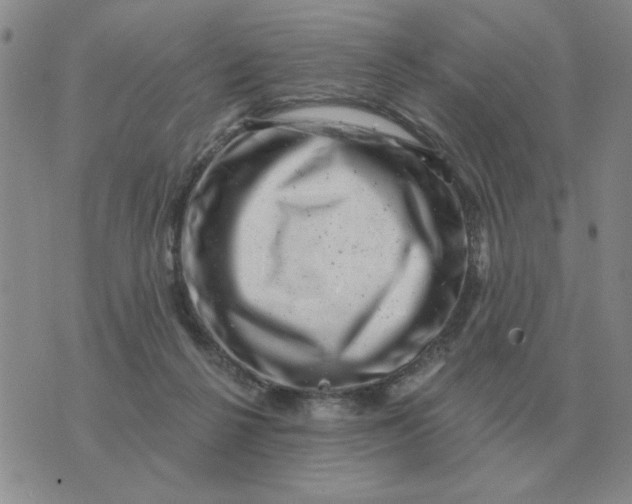 X0000074340264200609152129