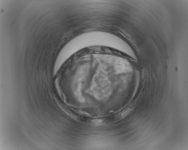 X0000074340265200609152129