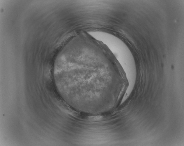 X0000074340266200609152129