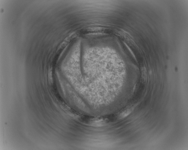 X0000074340267200609152129