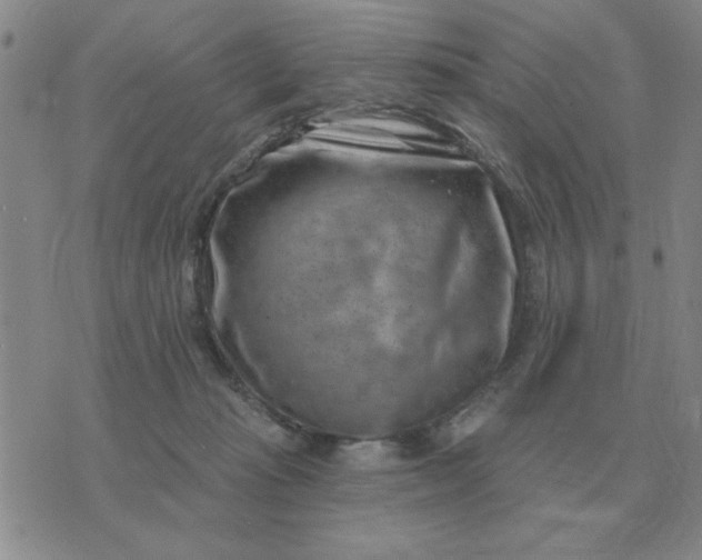 X0000074340269200609152129