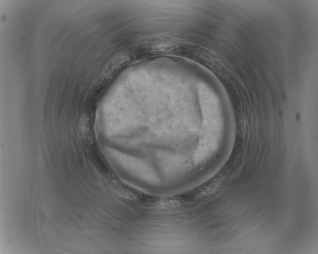 X0000074340270200609152129