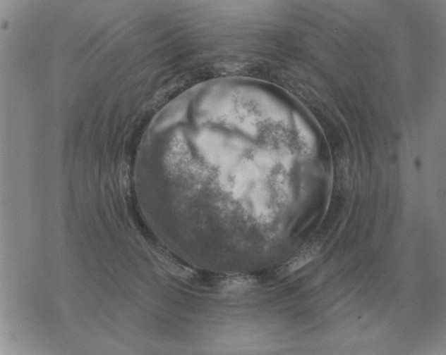 X0000074340274200609152129