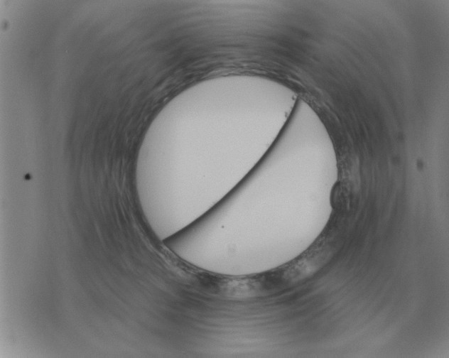 X0000074340277200609152129